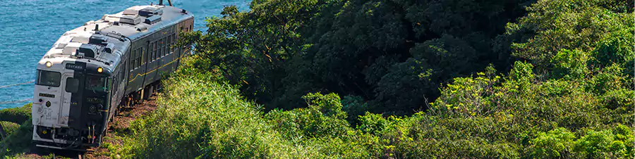 玉手箱号 玉手箱号