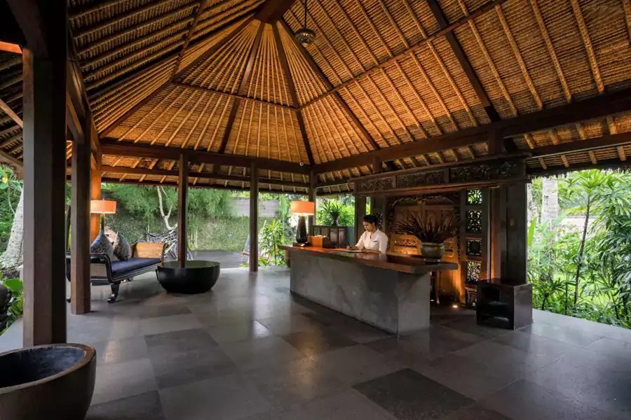 推开酒店大门的瞬间,就像闯进了侏罗纪般的绿境 推开酒店大门的瞬间,就像闯进了侏罗纪般的绿境