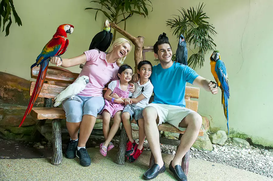 吉隆坡雀鸟公园 吉隆坡雀鸟公园