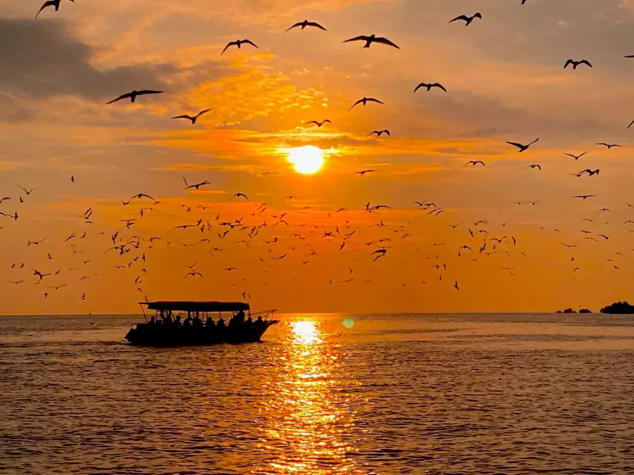 船夫会向海中抛洒虾糜,瞬间,成群的老鹰从云端俯冲而下 船夫会向海中抛洒虾糜,瞬间,成群的老鹰从云端俯冲而下