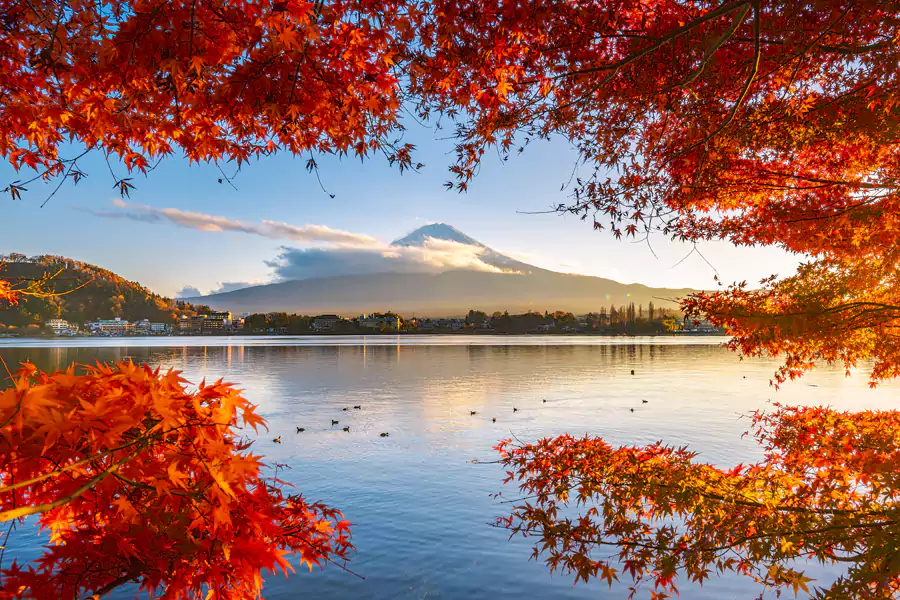 富士山红叶季-河口湖 富士山红叶季-河口湖