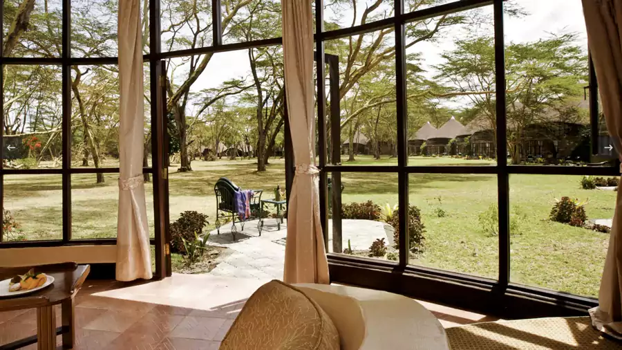 傍晚时分坐在藤椅上,能看见夕阳把远处的雪山染成金红色 傍晚时分坐在藤椅上,能看见夕阳把远处的雪山染成金红色