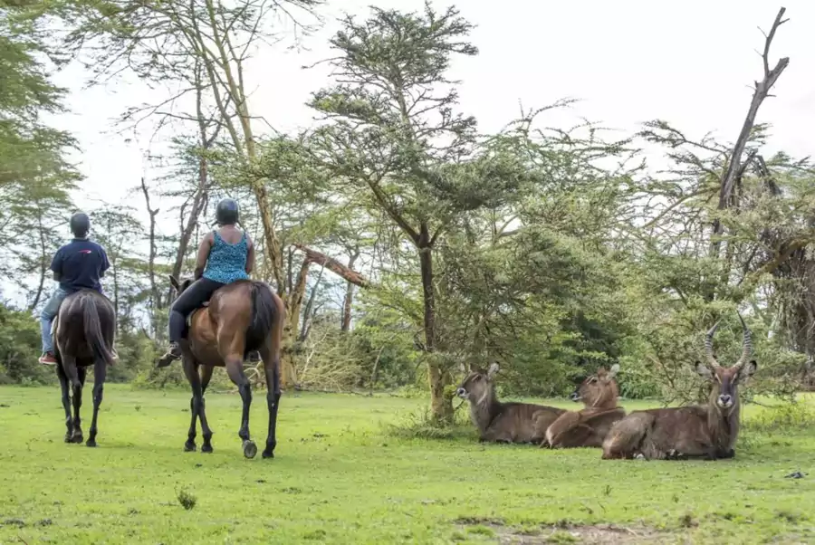 沿途打卡海明威笔下 “乞力马扎罗山上的雪” 沿途打卡海明威笔下 “乞力马扎罗山上的雪”