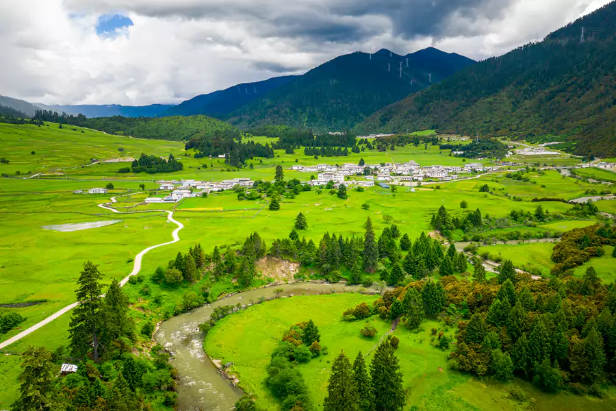 鲁朗林海 鲁朗林海