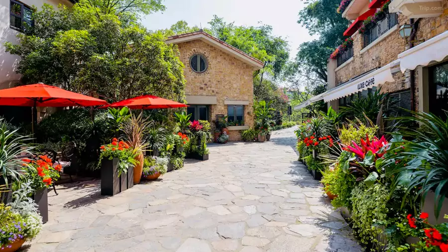 中庭像被精心打理过的秘密花园