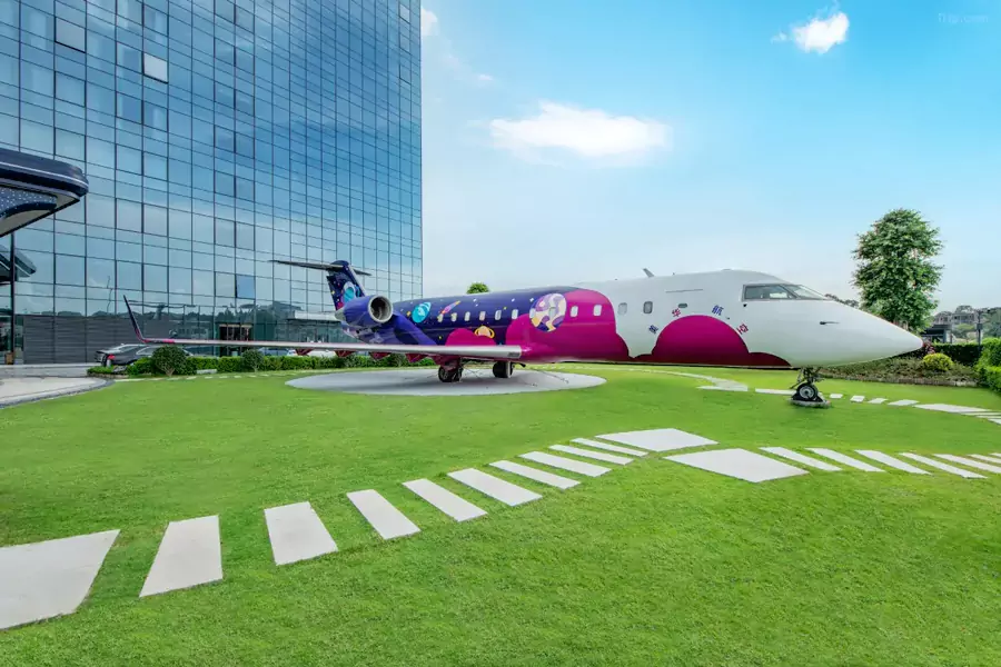 一架 CRJ 公务机稳稳停着