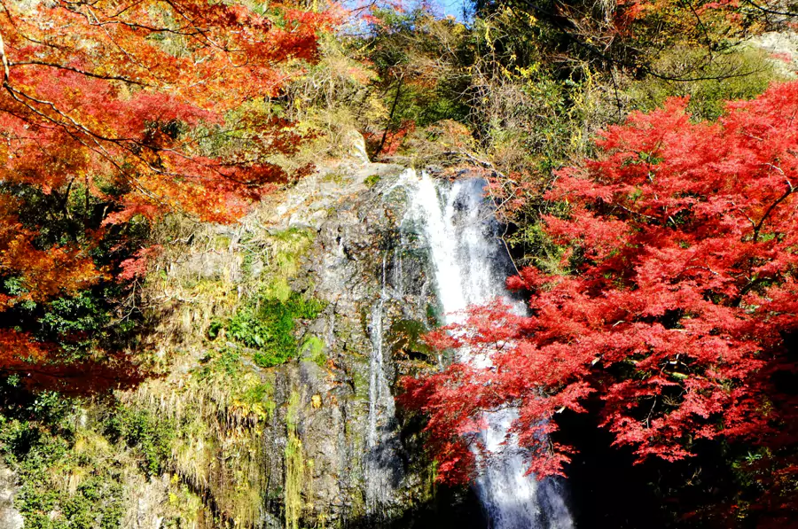 箕面瀑布 箕面瀑布