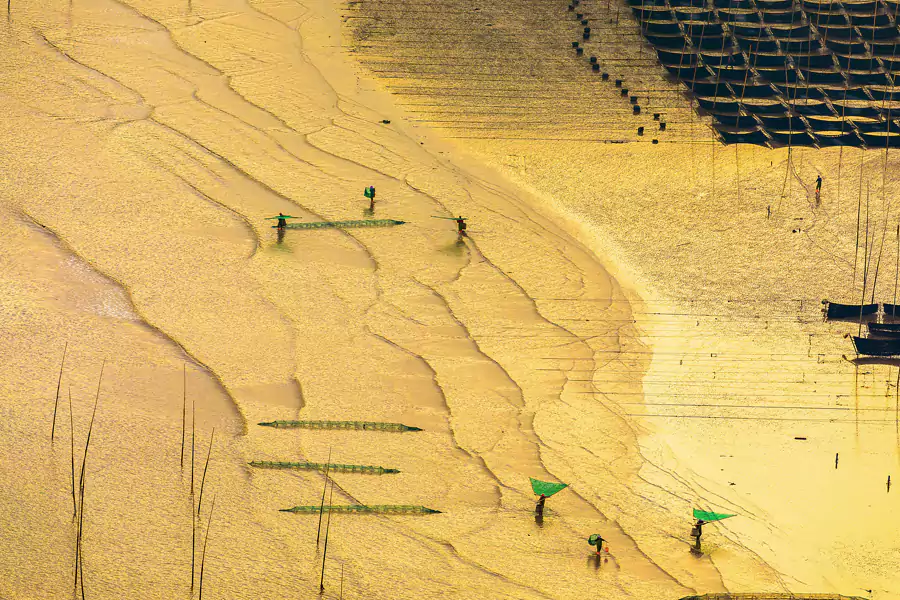 小皓滩涂 小皓滩涂