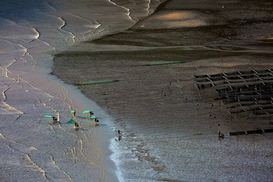 小皓滩涂的乐趣,一半在镜头里,一半在指尖上 小皓滩涂的乐趣,一半在镜头里,一半在指尖上