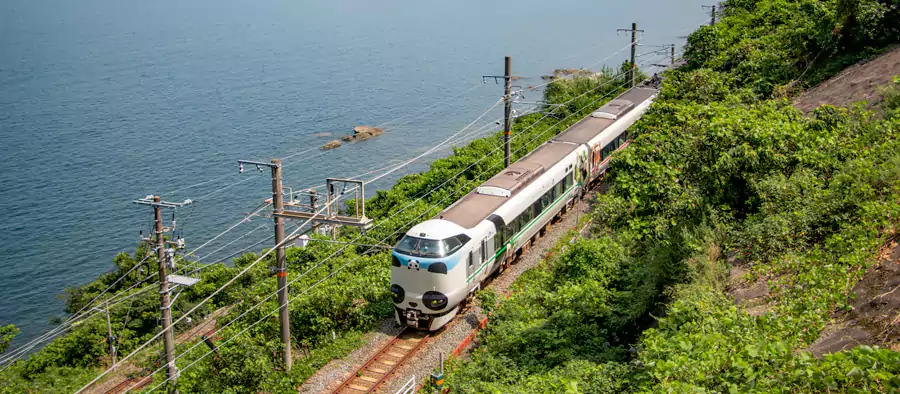 熊猫列车 熊猫列车
