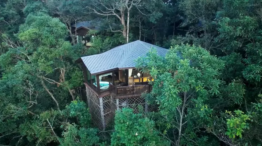 这里的建筑不是钢筋水泥,而是顺着山势搭建的独栋木屋别墅 这里的建筑不是钢筋水泥,而是顺着山势搭建的独栋木屋别墅