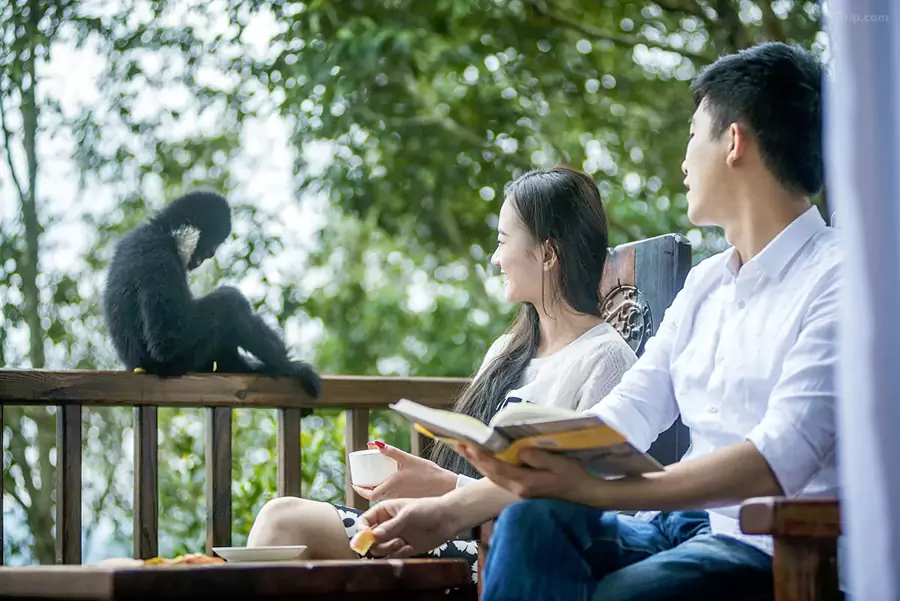 仿佛在和森林里的游客打招呼 仿佛在和森林里的游客打招呼