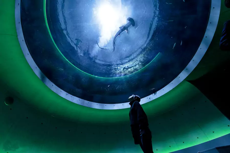 神无月之景 神无月之景