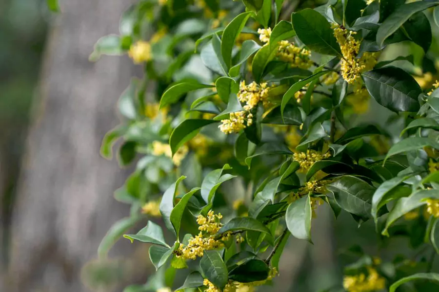 北京・颐和园 北京・颐和园