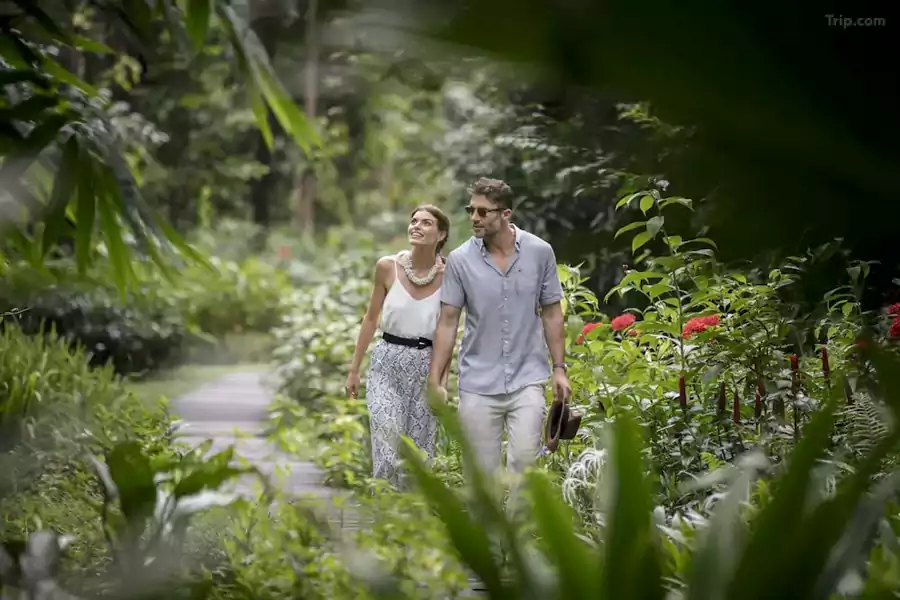 没有匆忙的行程,只有 “什么都不做” 的自由 没有匆忙的行程,只有 “什么都不做” 的自由