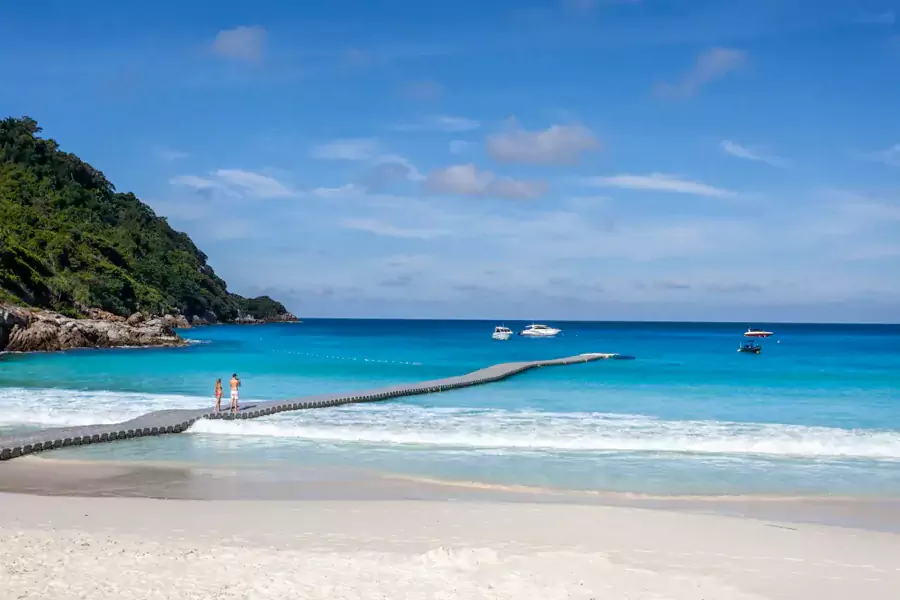 走在木质栈道上