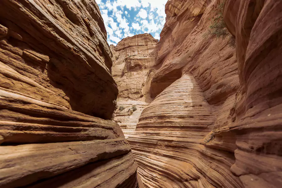 这里的红砂岩丹霞地貌,是数亿万年风与水的杰作 这里的红砂岩丹霞地貌,是数亿万年风与水的杰作
