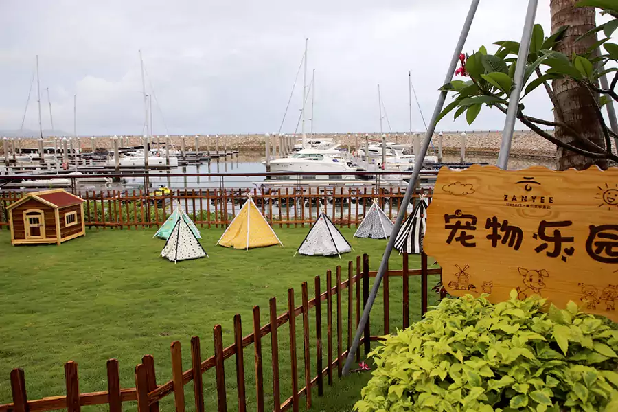 连毛孩子也能在这里找到归属感 连毛孩子也能在这里找到归属感