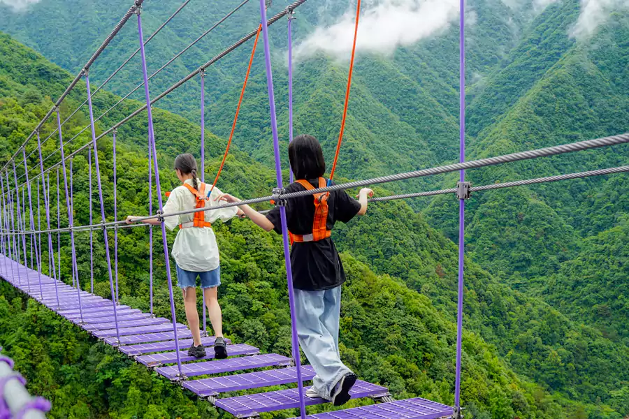 不管是带娃、带宠物，还是想轻松游，都能找到舒服的打开方式