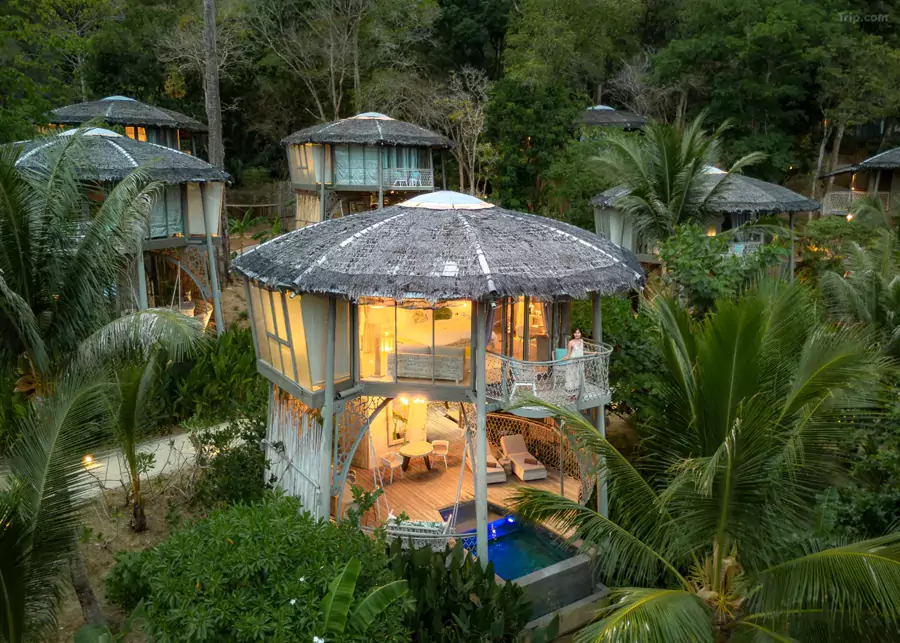 树屋多是双层设计，藏着巧妙的 “动静分区”