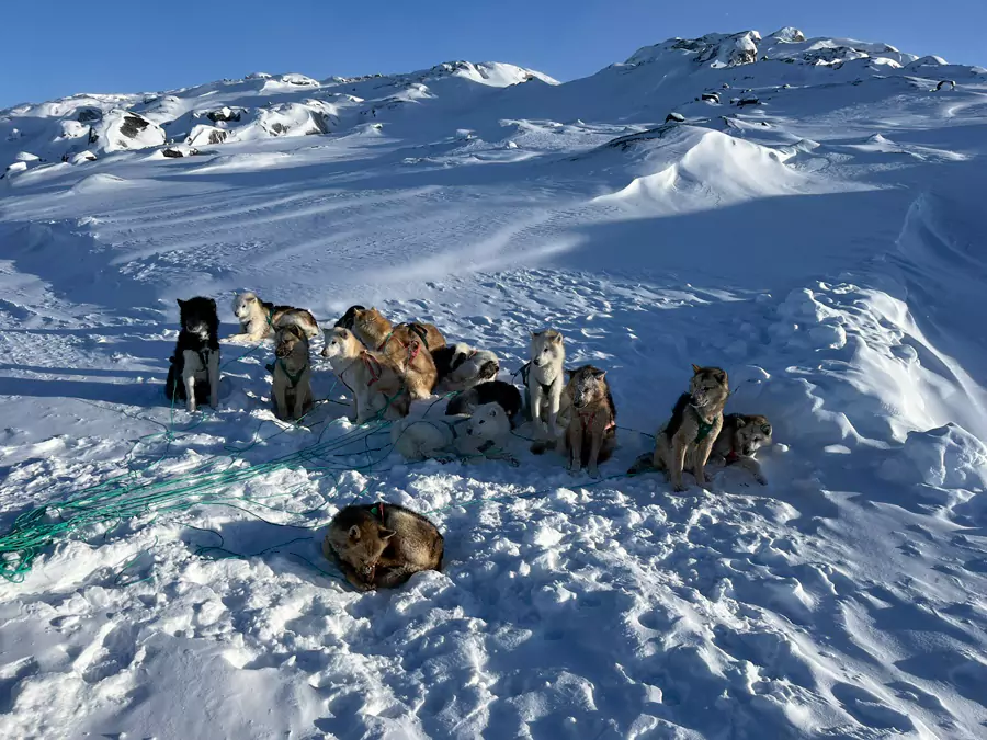 乌马纳克 乌马纳克