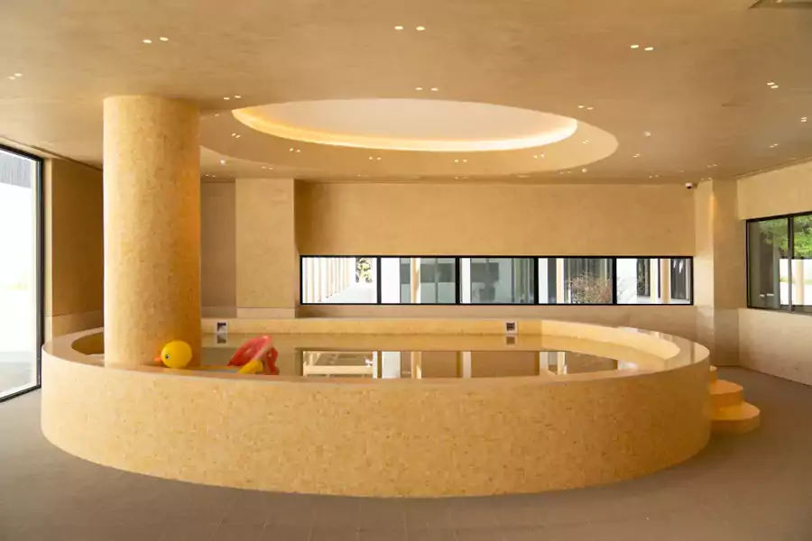 酒店公区的宠物泳池 酒店公区的宠物泳池