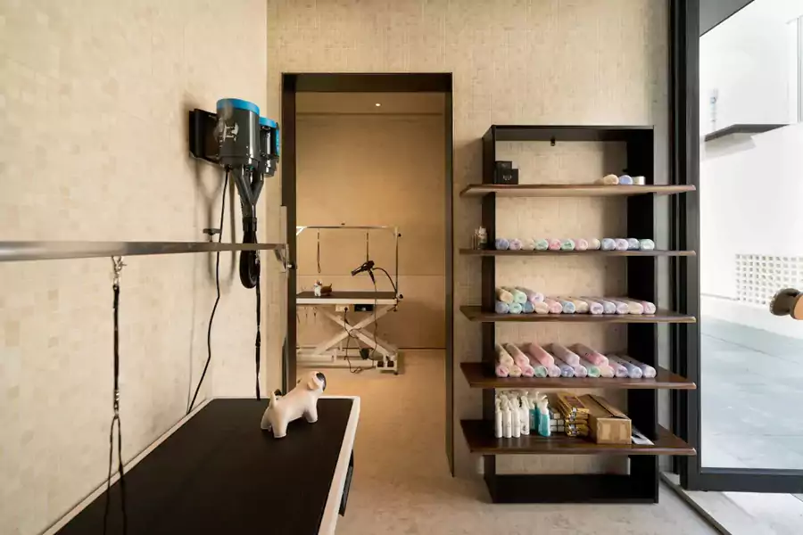 酒店有专门的宠物集体宿舍 酒店有专门的宠物集体宿舍