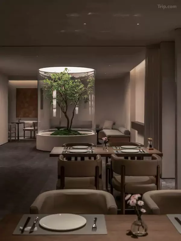 中央的玻璃天窗还特意为一棵树留了生长空间 中央的玻璃天窗还特意为一棵树留了生长空间