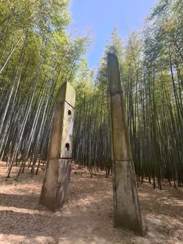 《永远的君主》里那座藏在竹林中的电话亭