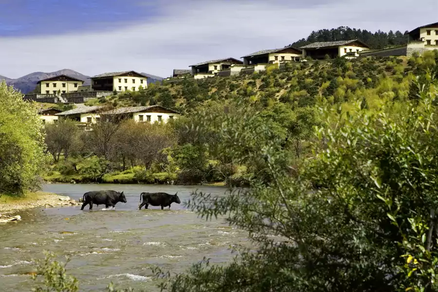 草原顺着河谷铺开,牛羊低着头啃食青草 草原顺着河谷铺开,牛羊低着头啃食青草