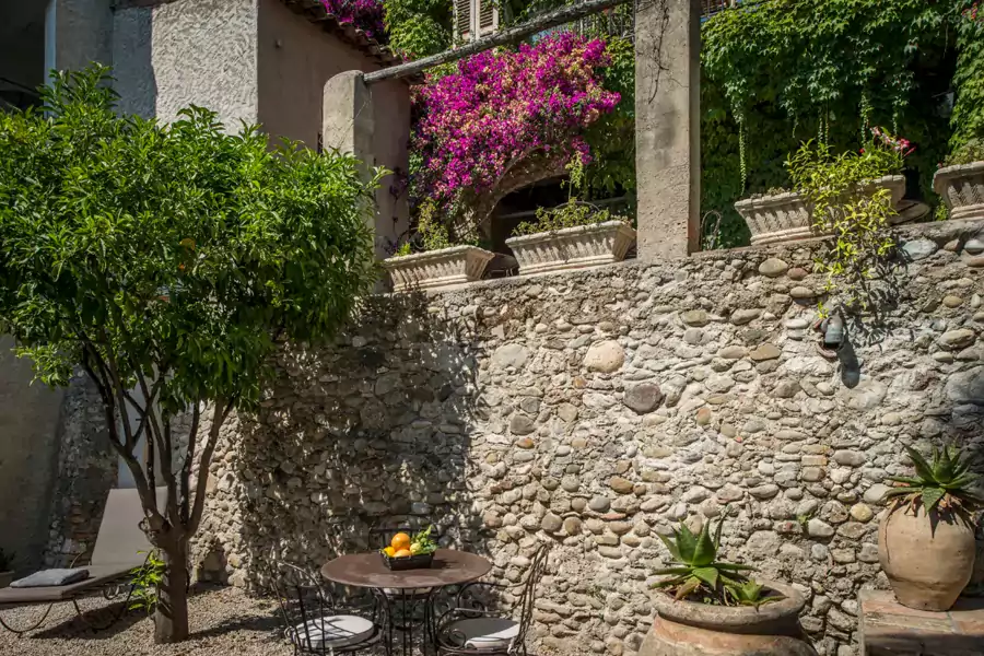 石头房的院墙上爬满三角梅