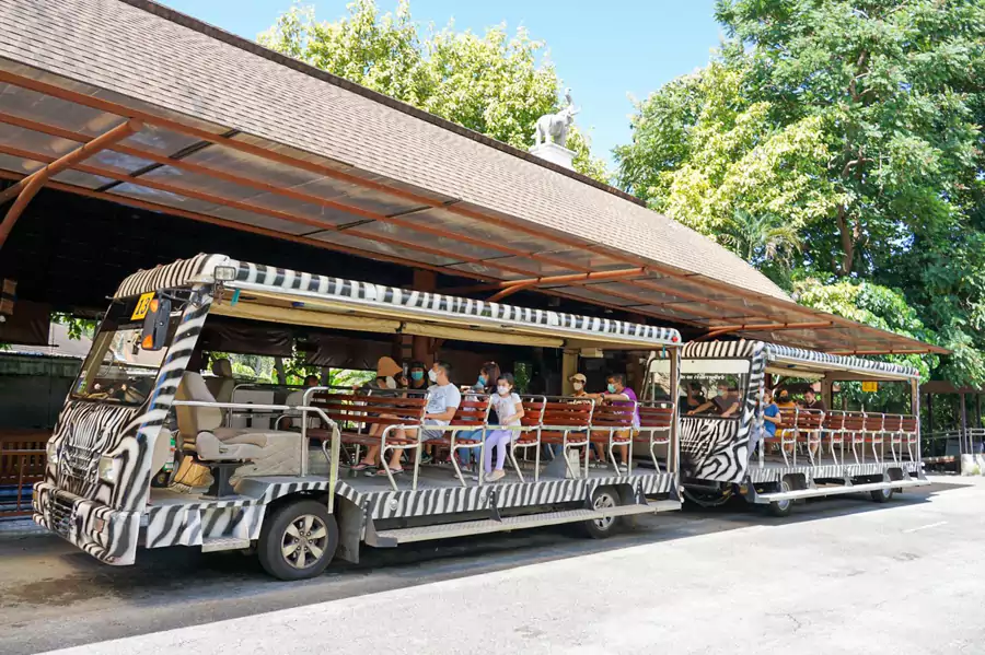 坐上360° 观光车 坐上360° 观光车