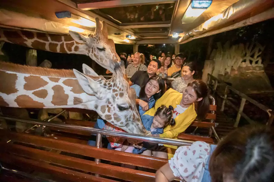 遇到不怕生的小家伙,还会主动凑到车边索要食物 遇到不怕生的小家伙,还会主动凑到车边索要食物