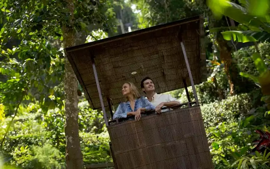 没有平坦的车道,取而代之的是架在山间的索道 没有平坦的车道,取而代之的是架在山间的索道