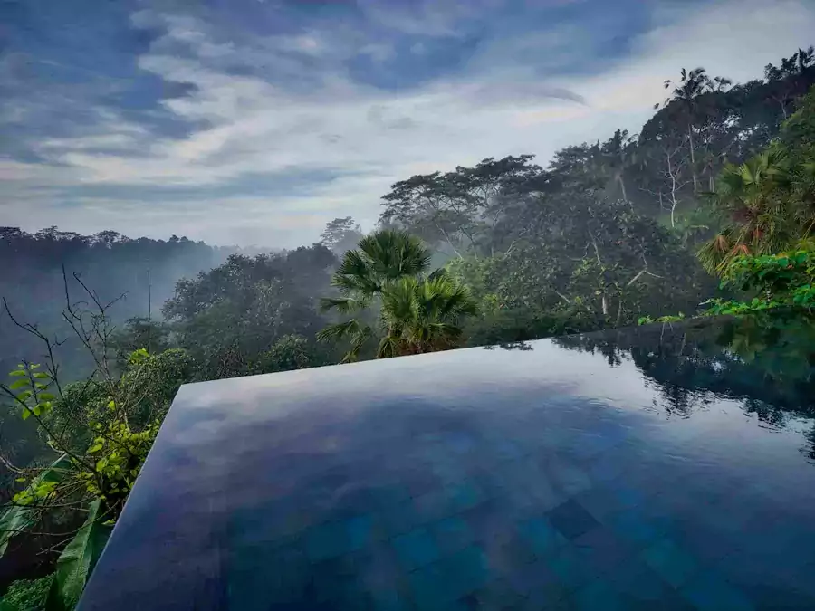 恍惚间竟分不清自己是在水里,还是在半空 恍惚间竟分不清自己是在水里,还是在半空