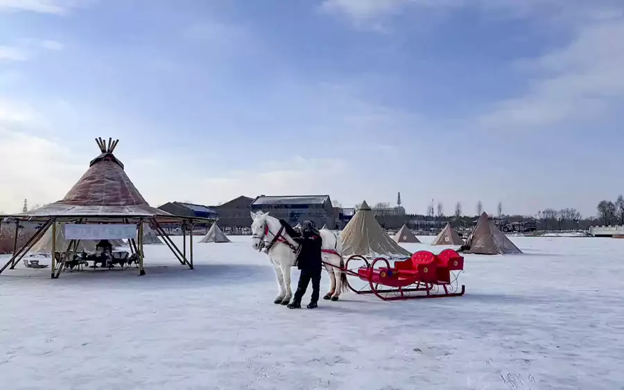 冬天则能体验东北特色的「马拉雪橇」入住