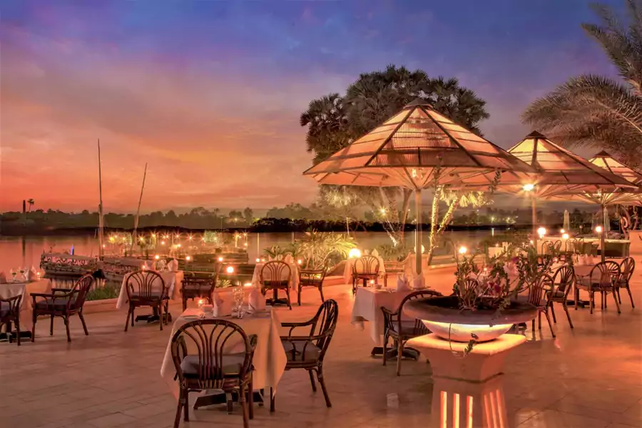 最好的用餐场景是在户外 最好的用餐场景是在户外