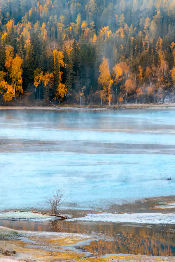 枫叶的红、白桦的黄、云杉的绿,层层叠叠铺向湖边 枫叶的红、白桦的黄、云杉的绿,层层叠叠铺向湖边