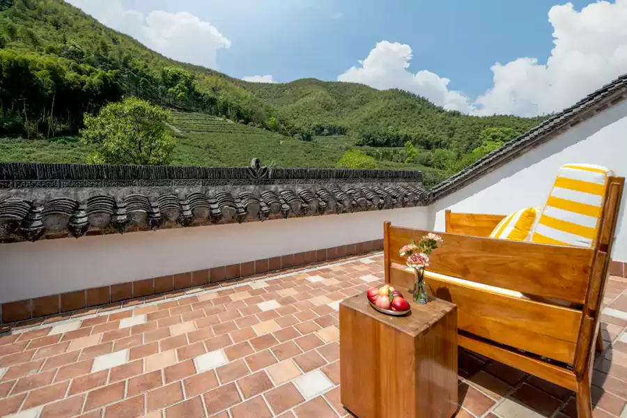 清晨被茶园的清香唤醒