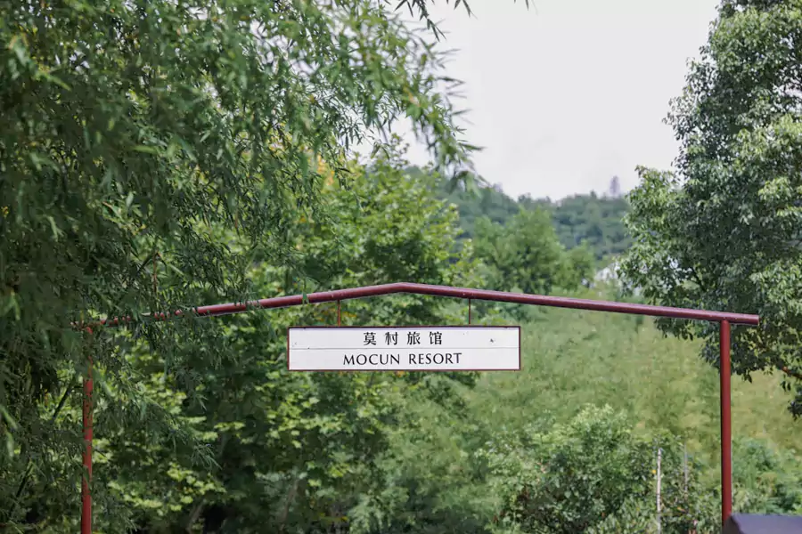 它却守着玫瑰与茶园，把诗和远方过成了日常