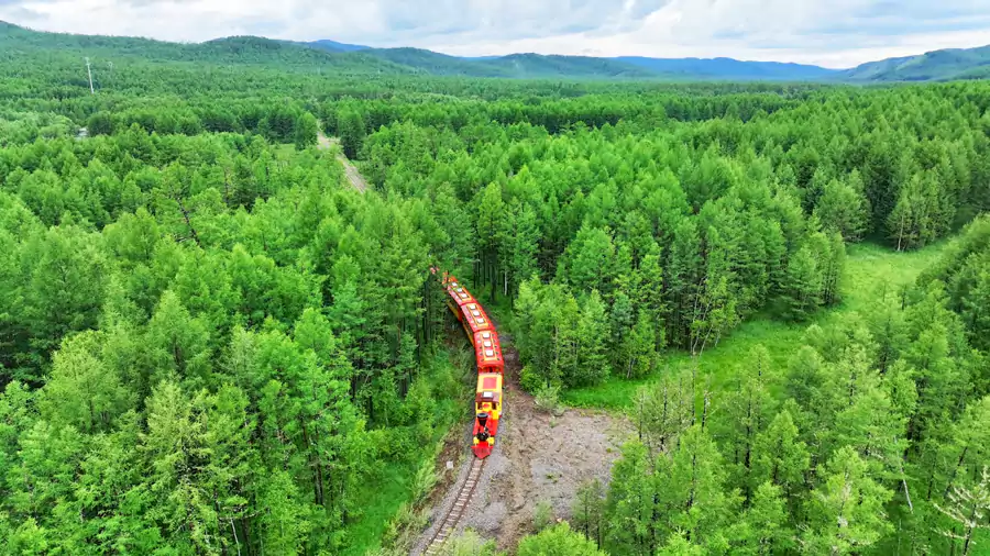森林小火车 森林小火车