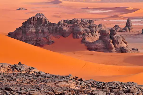 塔曼拉塞特 塔曼拉塞特