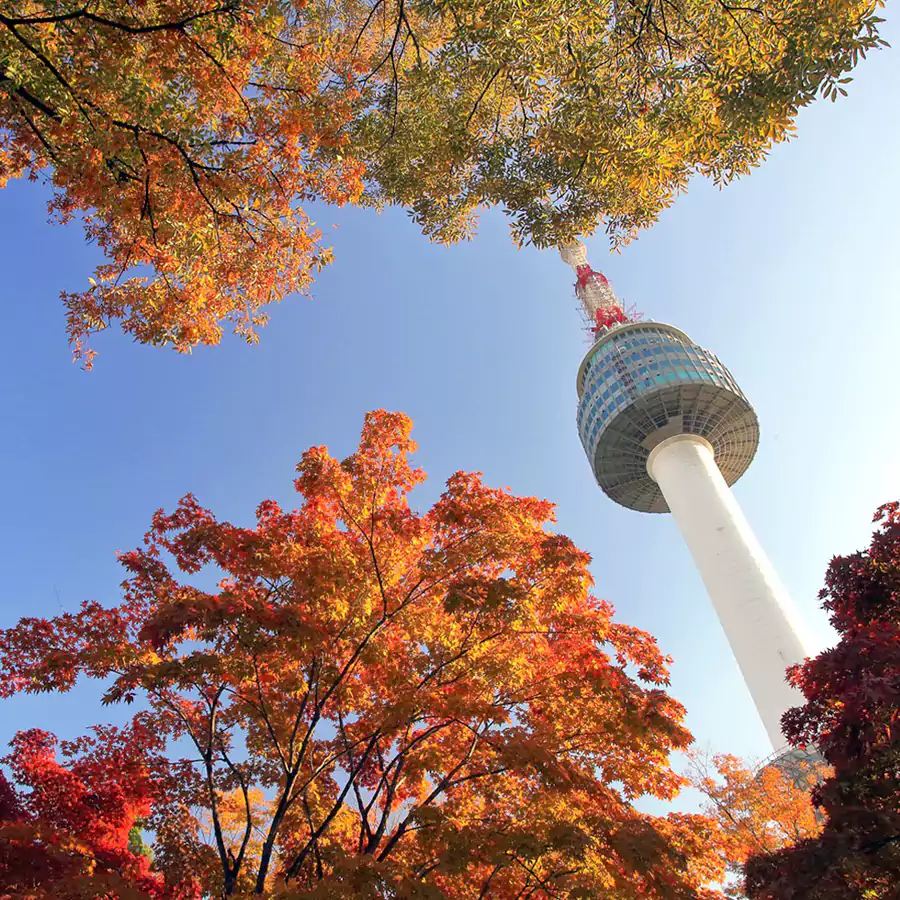 南山公园 南山公园