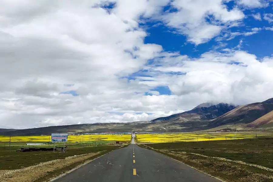 帕里草原 帕里草原