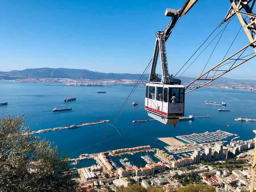 巨岩顶部建起了小型自然保护区 巨岩顶部建起了小型自然保护区