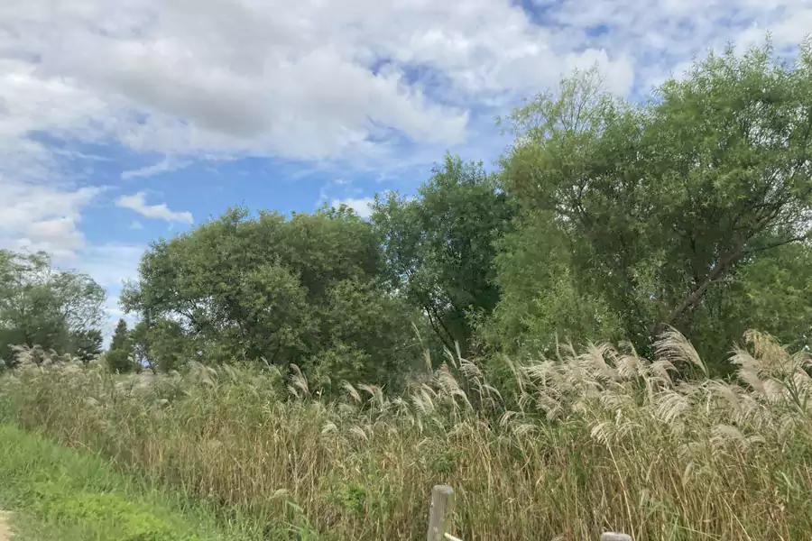 三乐湿地生态公园