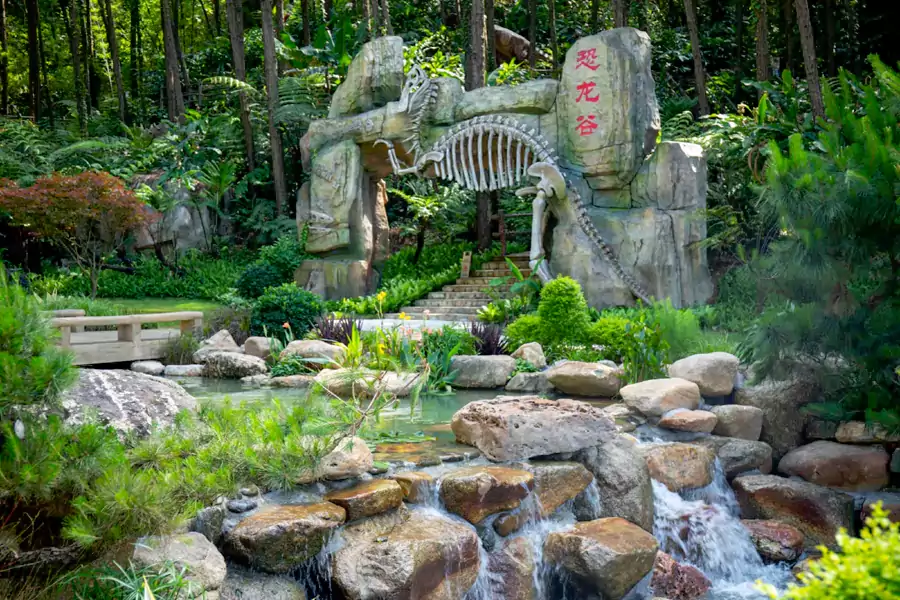 森波拉奇妙世界