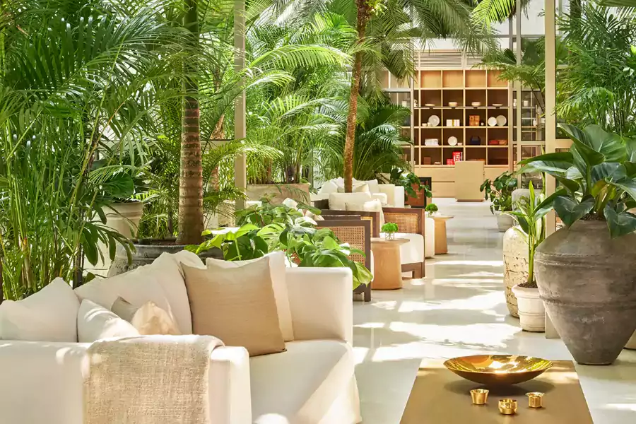 走进大堂,更像闯入了一座迷你植物园 走进大堂,更像闯入了一座迷你植物园