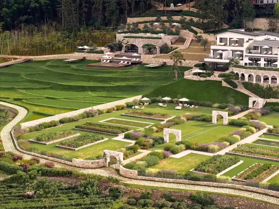 刚进庄园就被撞了满屏的南法浪漫 刚进庄园就被撞了满屏的南法浪漫