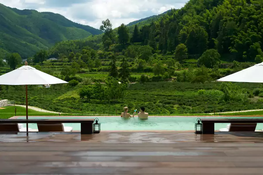 稻田无边泳池 稻田无边泳池